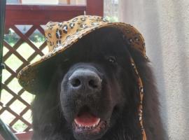 vakantiewoning met jacuzzi Forêt d'Animaux，位于Frahan的酒店