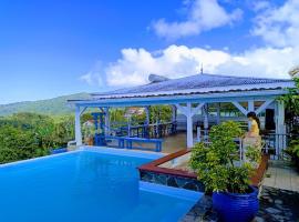 Villa Pelée - chambre d'hôtes - gîte tropical，位于Le Morne Rouge的酒店