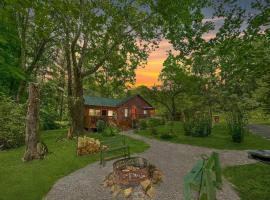 Brookside Cabin with HotTub and FirePit，位于Stony Lonesome的酒店