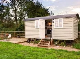 Starlight Shepherd Hut