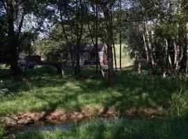 Off-grid Cork Cabin With It's Own Island