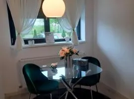 MIA!! Self check-in!