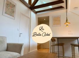 La Belle Odet' - choix d'appartements- Centre ville-quais，位于坎佩尔的公寓
