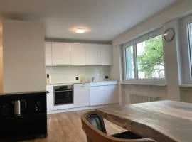 Sunny and very central 2BR flat - Sky8