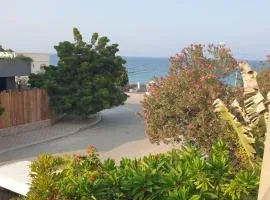 Qantab Village Stay