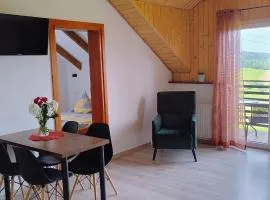 Bieszczadzki Horyzont Apartamenty