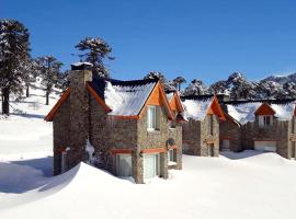 Cabanas Patagonia Village，位于卡薇亚惠的酒店