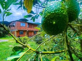 Retro Finca Urrao - Peaceful Avocado Farm Retreat，位于Urrao的酒店
