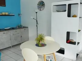 Studio confortable à La Trinité 30 m² avec vue mer et jardin