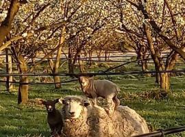 Havelock North Cottage on Organic Orchard，位于北哈夫洛克的酒店