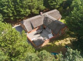 Cozy Home In Ringkøbing With Sauna，位于灵克宾的酒店