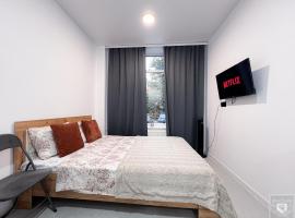 RentHouse Apartments NanoFlat #3，位于基希讷乌的酒店