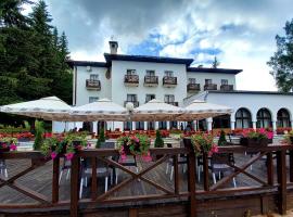 Hotel Vlasina - Vlasinsko jezero，位于Lujinci的酒店