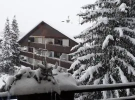 Apartment Bergblick 2