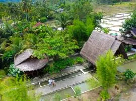 Tropical Jungle Hut & Jungle trekking