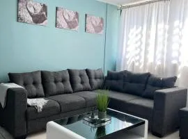 Osheni City Center Apartment