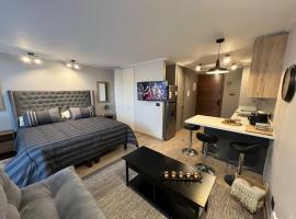 Acogedor céntrico full departamento condominio origen nuevo en pucón，位于普孔的公寓