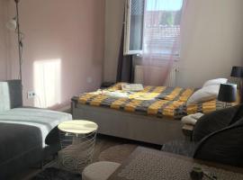 Agancsos Vendèghàz，位于Irota的酒店