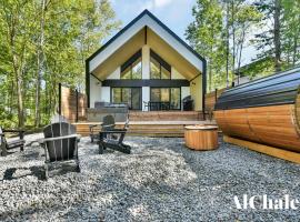 Le Scandinave - Détente avec Sauna et Spa privé，位于Sainte-Catherine的酒店