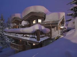 Vizelle Maison Courchevel，位于谷雪维尔的酒店