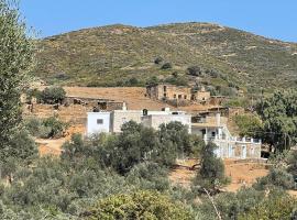 Aegean Cottage Andros，位于Makrotándalon的酒店