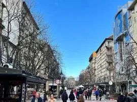 Vitosha Blvd Spacious and Quiet Apartment in Gallery