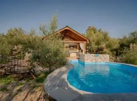 House with pool, 50 meters from sea, privacy - by TRAVELER tourist agency Krk - ID 2137