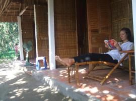 My Hoa Mekong Homestay，位于Ấp &ETH;&ocirc;ng Lợi (1)的带泳池的酒店