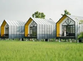 Fang Modern Hotel