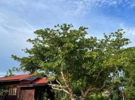 Kapas View, Zaki's Residence, Marang, Terengganu