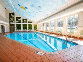 Natura Treescape Resort，位于威斯康星戴尔的酒店