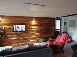 Spacious apartment close to skiing and nature !