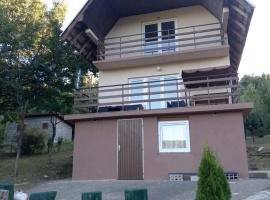 Vila Tea Borsko Jezero，位于博尔的酒店