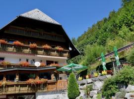 Hotel Silberfelsen，位于门曾施瓦德的酒店