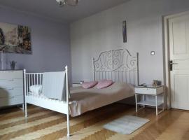 Apartament na parterze 2 pokoje i kuchnia，位于Kołaczyce的酒店