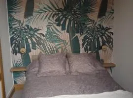 Au petit nid d'Apollon