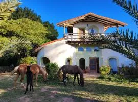 Horse Inn Posada