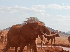 Tausa Tsavo Eco Lodge，位于Voi的酒店