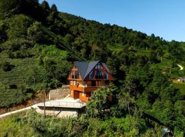 Villa Emir，位于İsmailoğlu的酒店