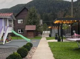 Гостинний двір" Живиця" ЧАН