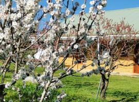 Kathmandu Farmstay - Pool Table, Ping Pong, Bicycles, PlayStation, Netflix, close to Bathurst and Mayfield Garden，位于Brewongle的酒店