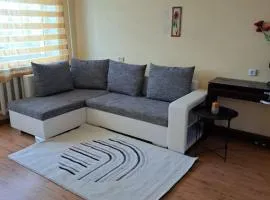 Nakvynė ir poilsis Zarasų mieste visai šeimai