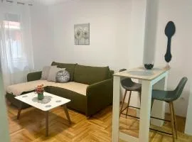Tik-tak apartment