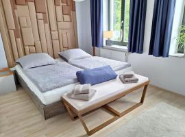 Gemütliche zentrale Wohnung in Zwickau，位于茨维考的酒店