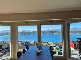 Villa with amazing view! Free Parking，位于Tomasjorda的酒店