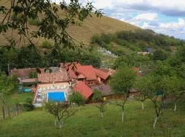 Marginimea Sibiului - Pensiunea Darian & David