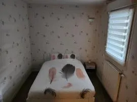 RESIDENCE ALPES