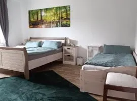 FeWo Deisterferien, Terrasse, Netflix, Wlan, A2, B65, Steinhude, bis 8 Personen