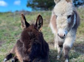 Mælstrøm End Eco Farmstay，位于Puponga的农家乐