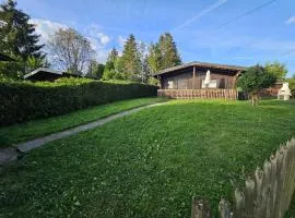 Ferienhaus Waldgefluester